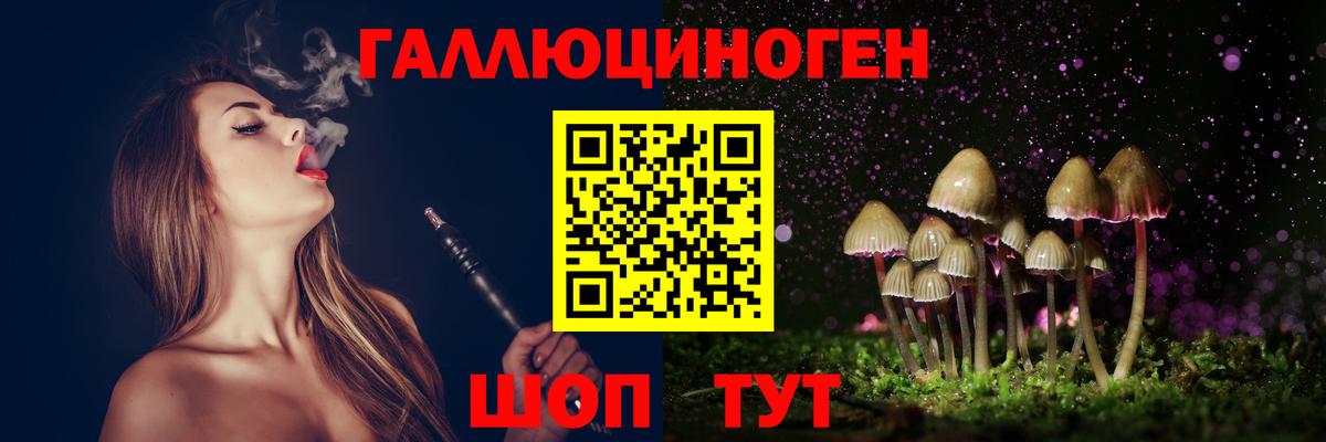 Псилоцибиновые грибы MAGIC MUSHROOMS  Вход с VPN  Кизляр 